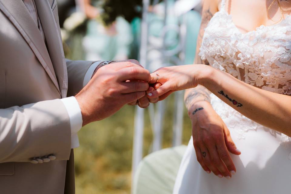 Wedding C y D