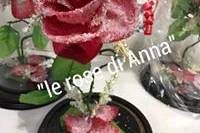 Le Rose di Anna