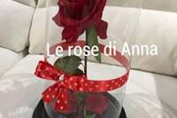 Le Rose di Anna