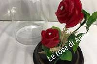 Le Rose di Anna