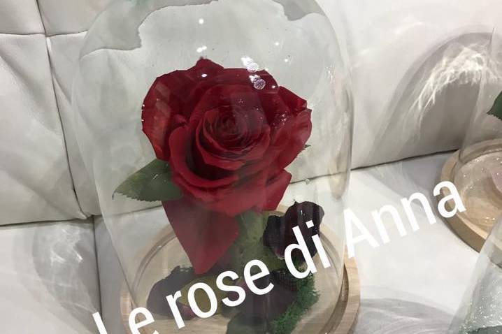 Le Rose di Anna