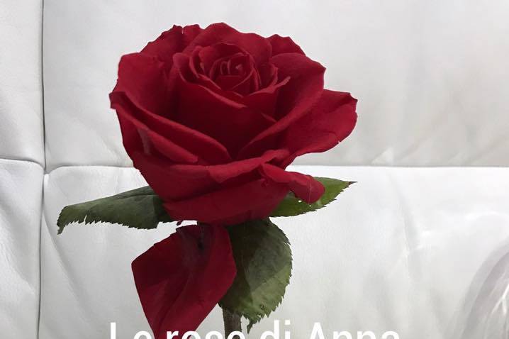 Le Rose di Anna