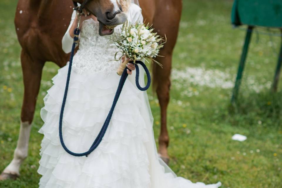 Cavallo mangia il bouquet