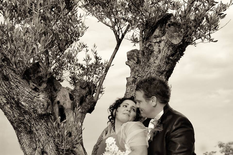Sposi sotto all'albero