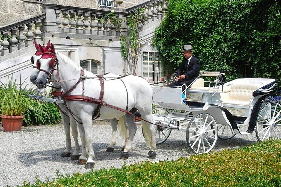 Carrozza bianca