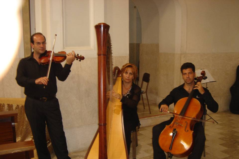 Arpa Trio d'archi  Soprano