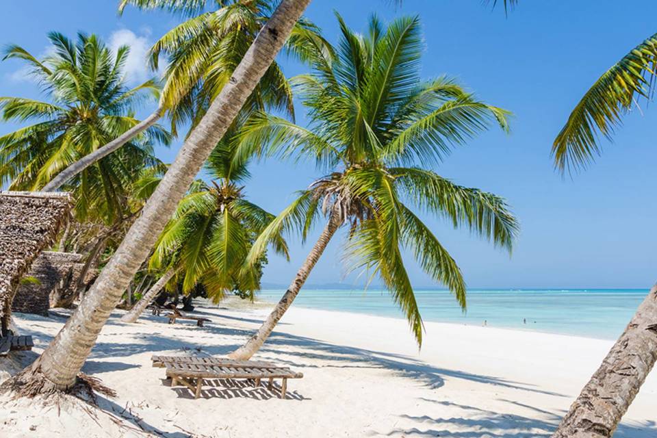 L'isola delle spezie: Zanzibar