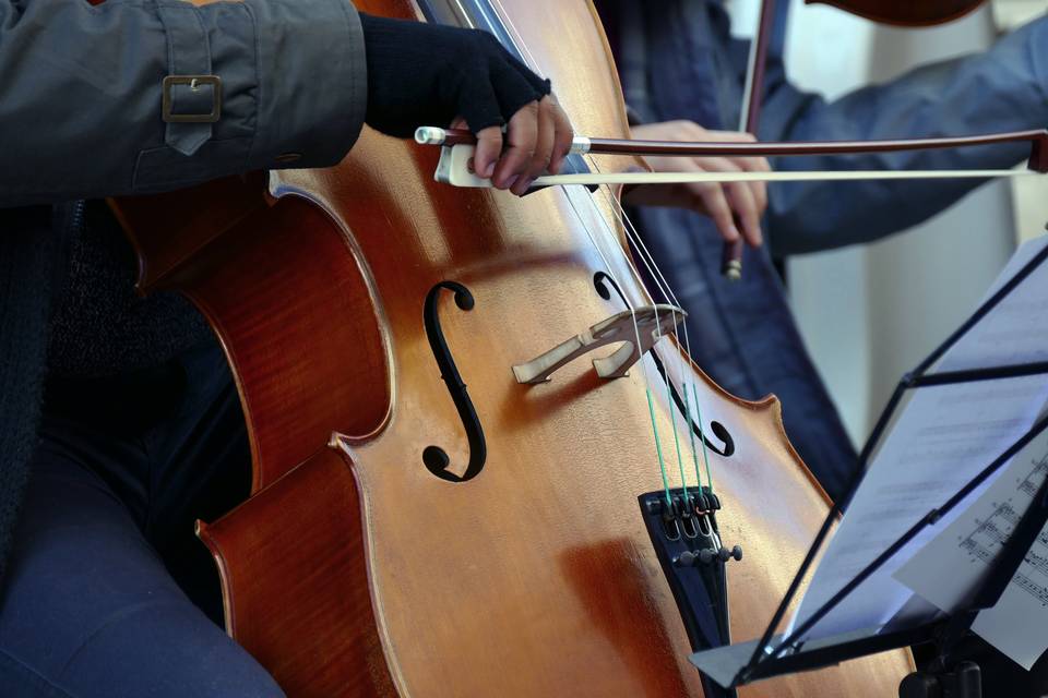 Organista Bergamo