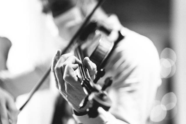 Violino
