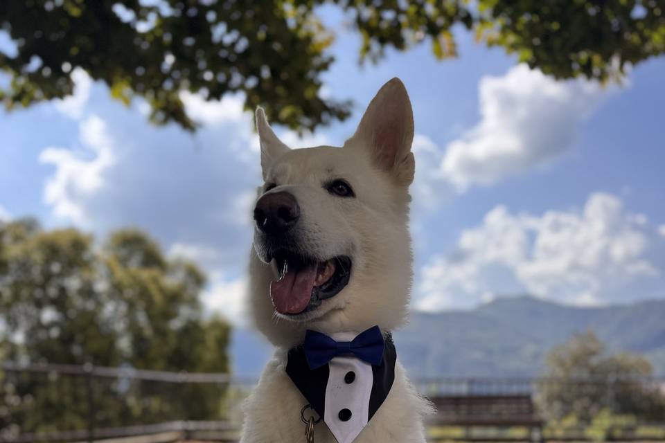 Della Vittoria Alata Wedding