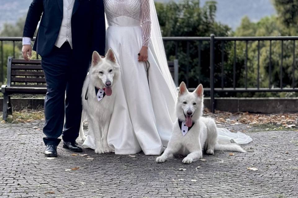 Della Vittoria Alata Wedding