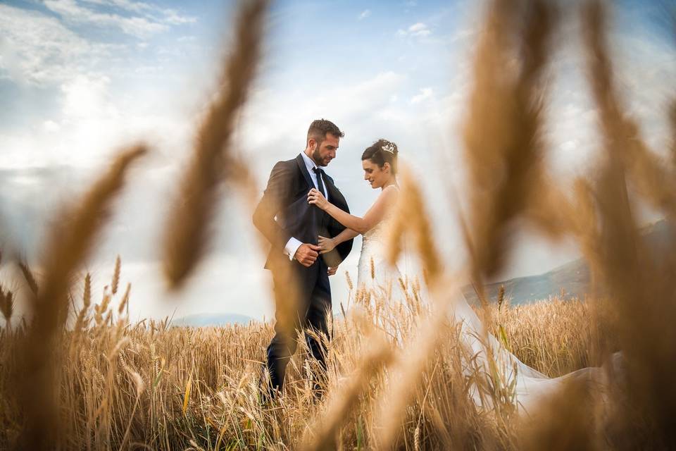 Fields of gold