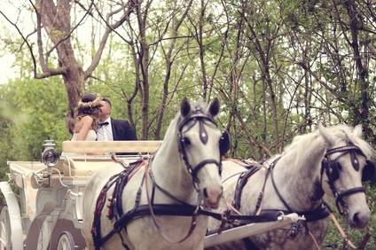 VareseWeddingStyle carrozza