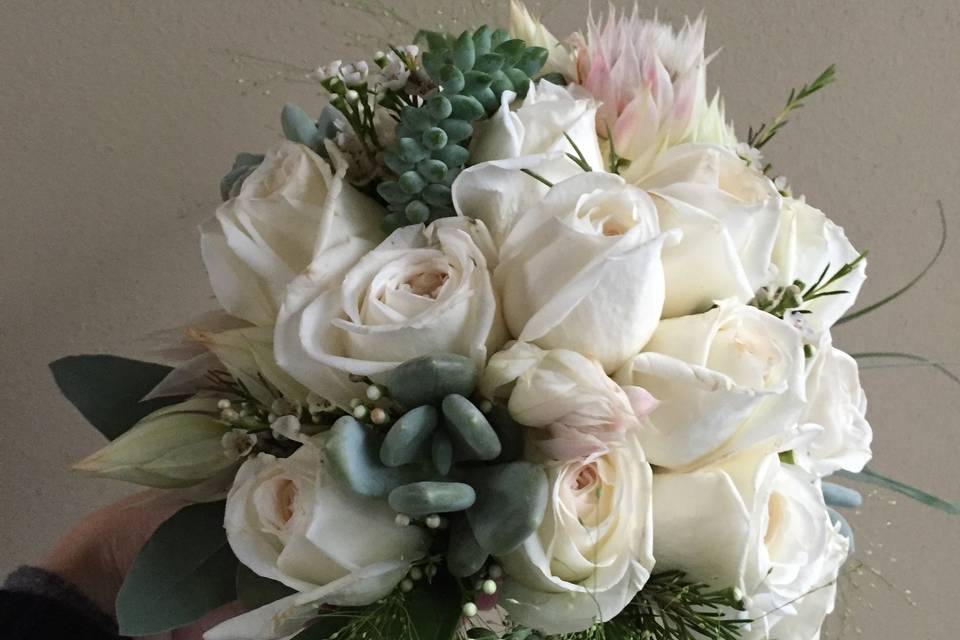 Bouquet con piante succulente