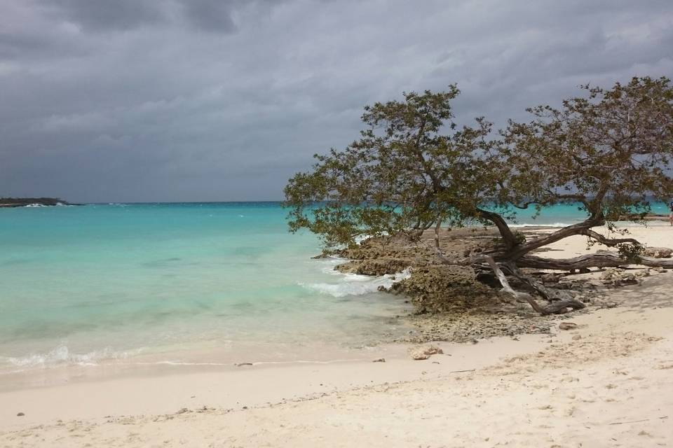 Playa Pesquero, spiaggia