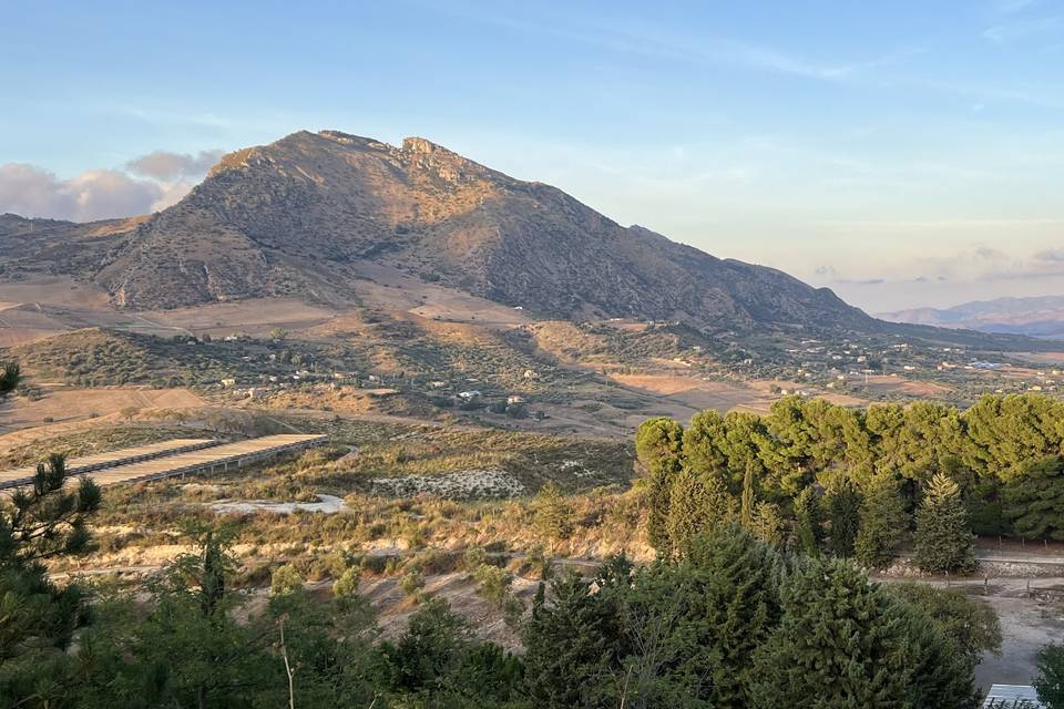 Tenuta Bosco