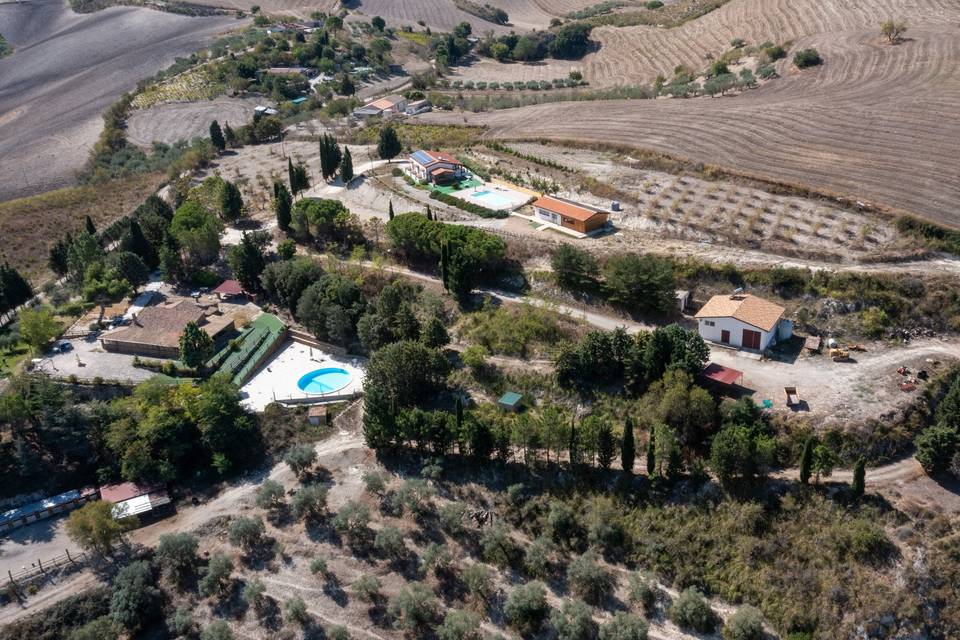 Tenuta Bosco