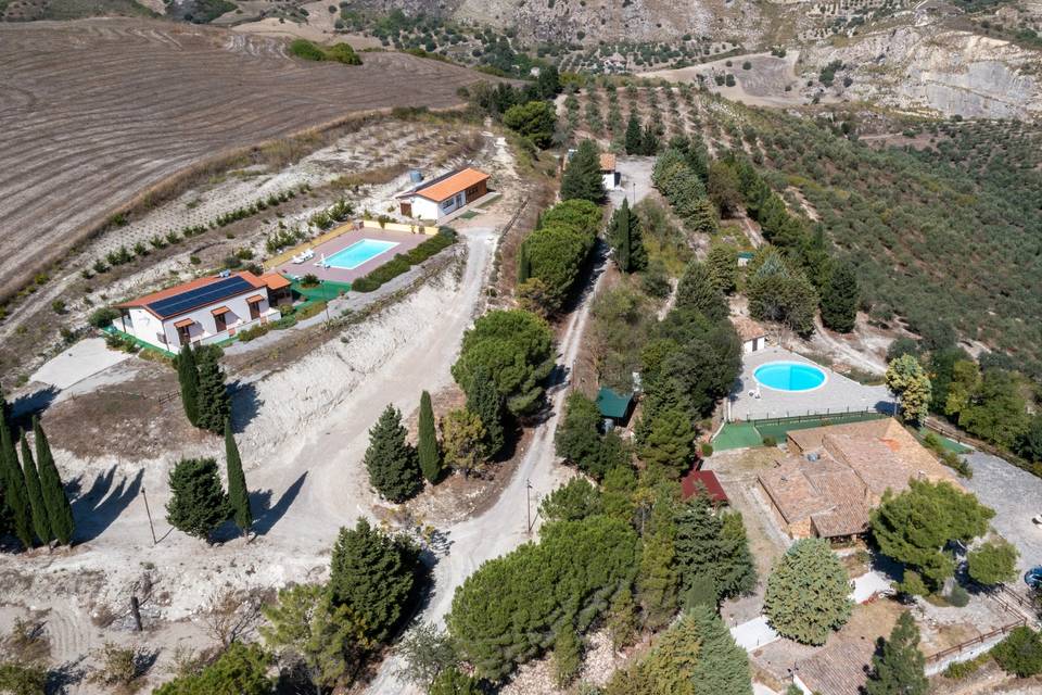 Tenuta Bosco