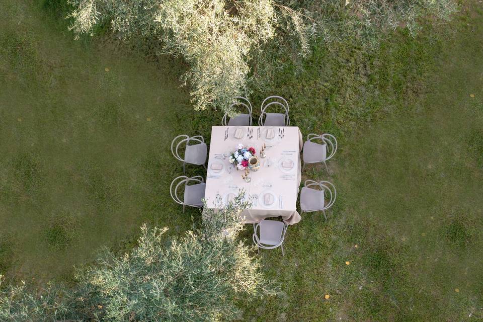 Tenuta Bosco