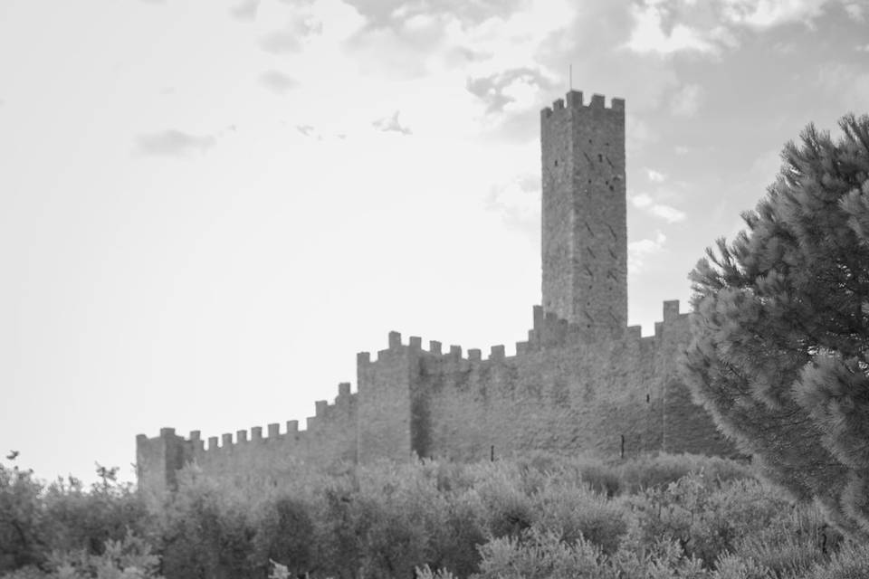 Insieme