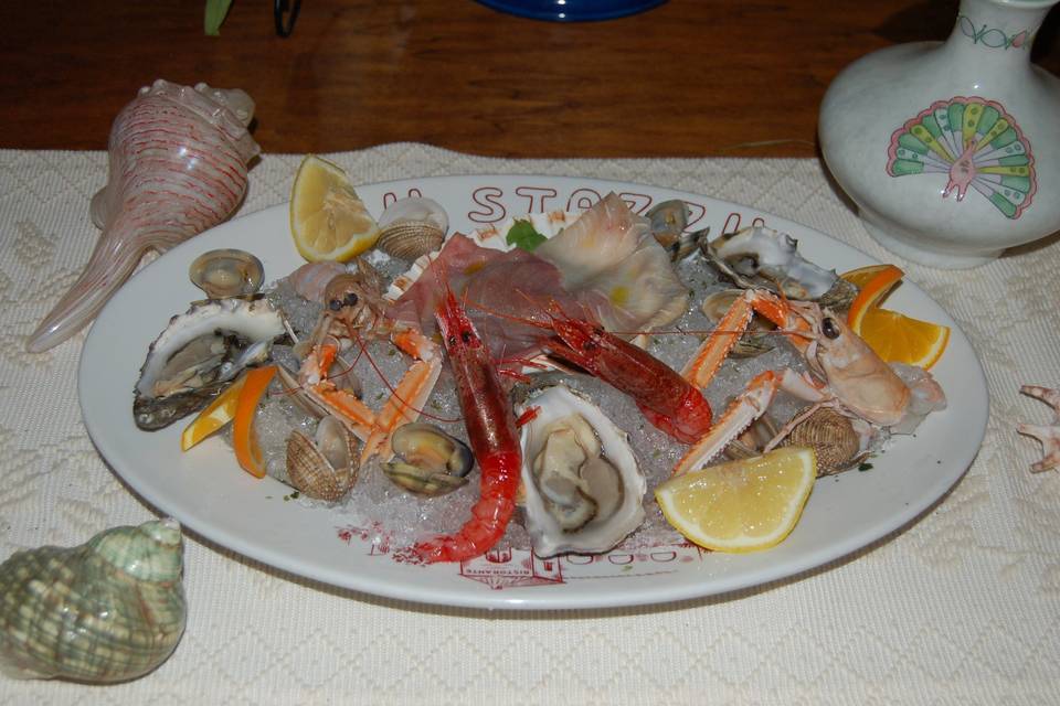 Ostriche e frutti di mare vivi