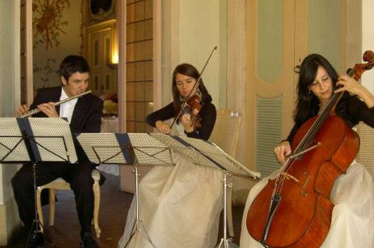 GC Musica e Ricevimenti Bergamo