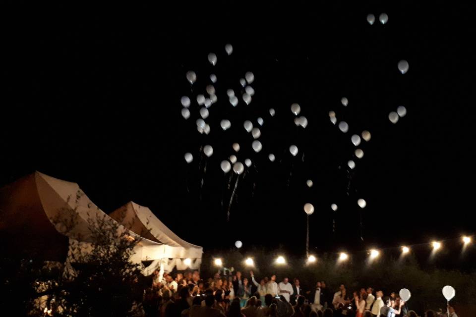 Festa di matrimonio