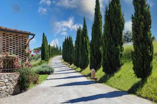 Agriturismo Poggio Leone