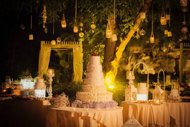 Alma Guerrini Event Planner