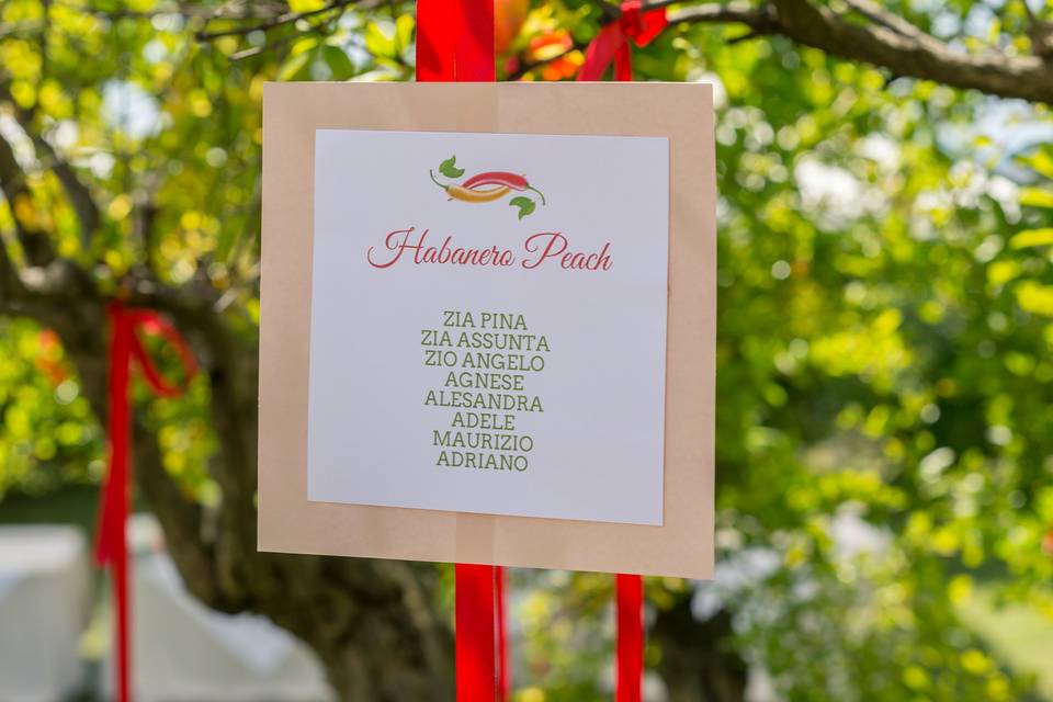 Alma Guerrini Event Planner