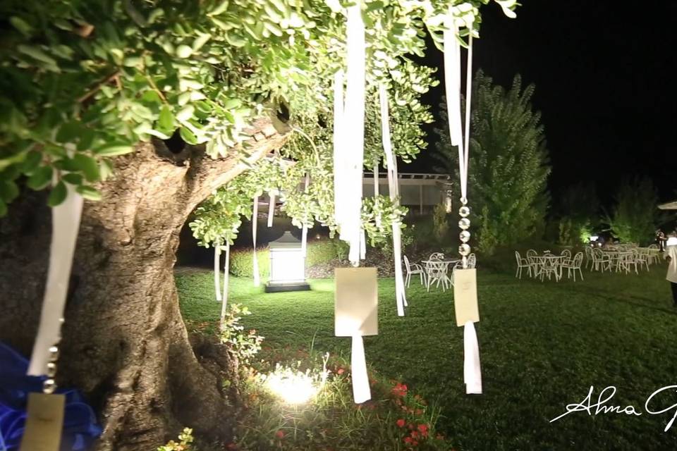 Alma Guerrini Event Planner