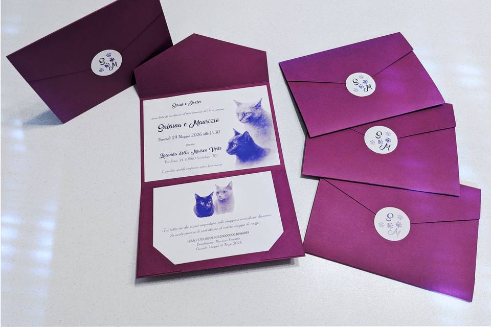 Partecipazione con gatti