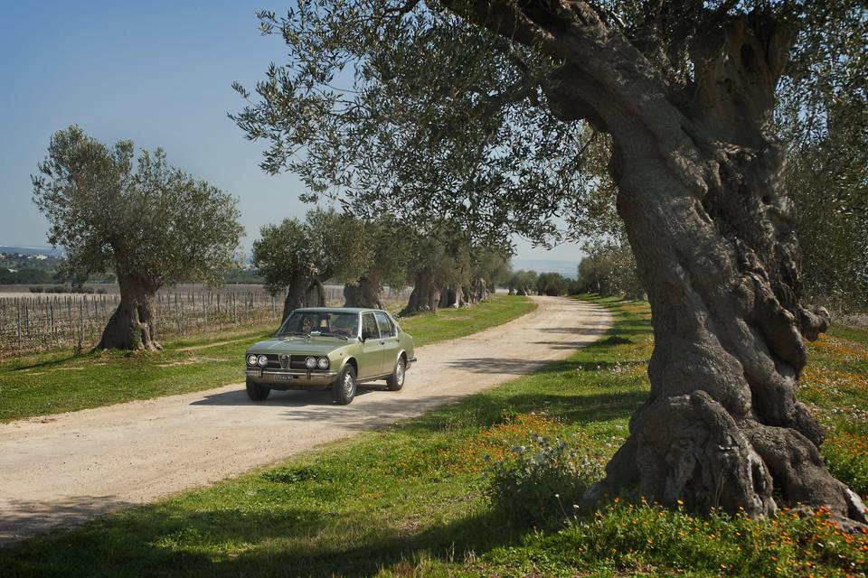 Puglia Auto Classica