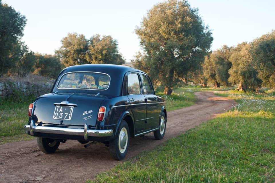 Fiat 1100/103 Siata (1954)