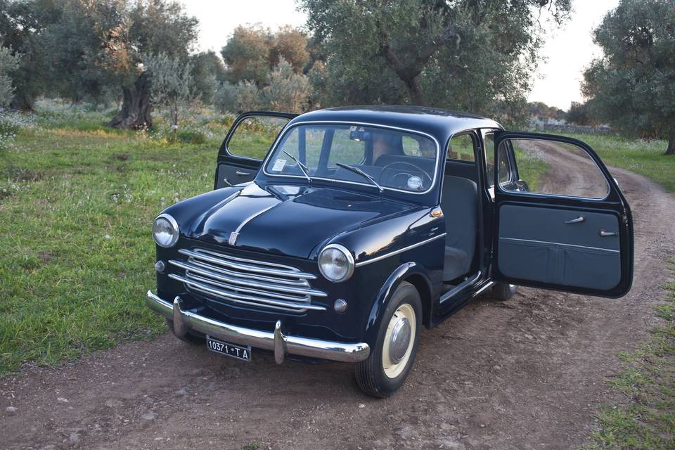 Fiat 1100/103 Special (1961)