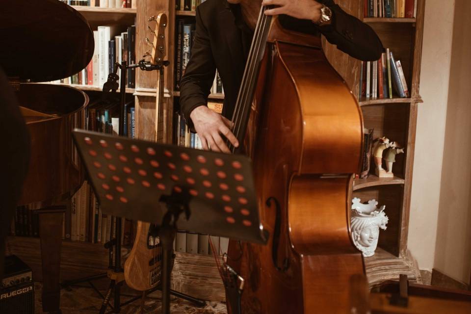 Davide Borgongni - Bass