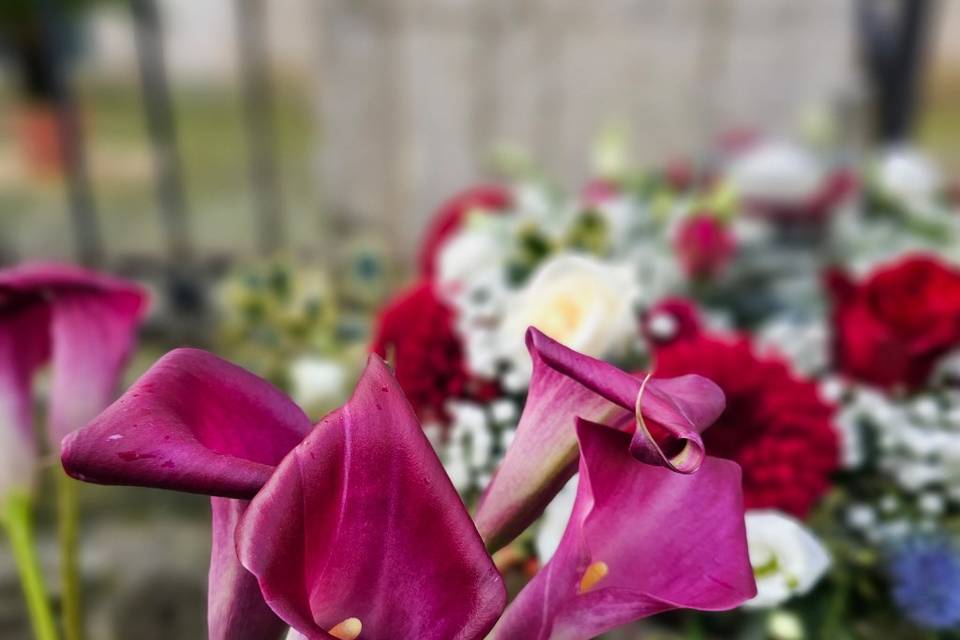 Servizio floreale