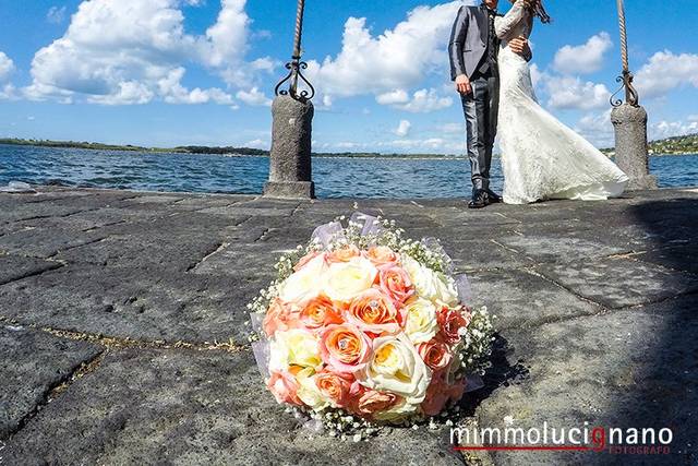 Mimmo Lucignano Fotografo