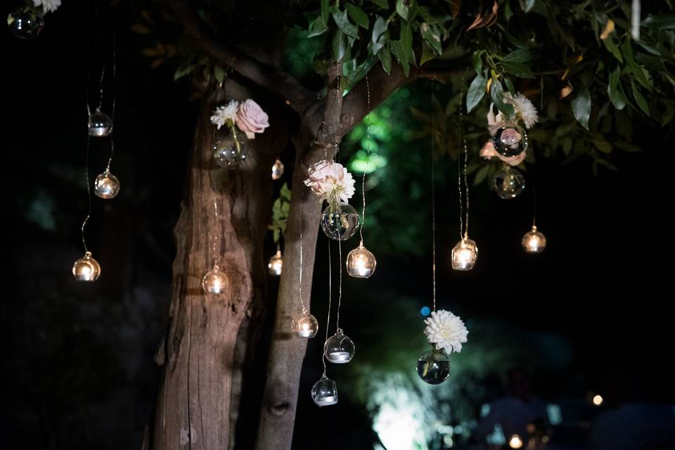 💫✨💫✨💫✨