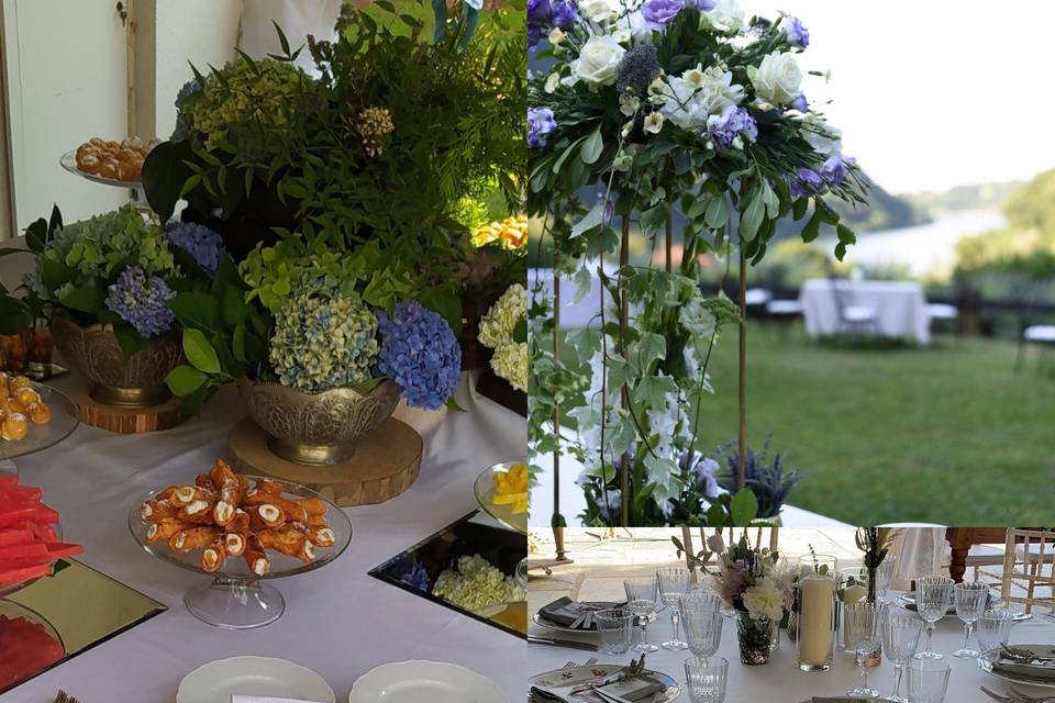 ✨💫✨💫✨💫