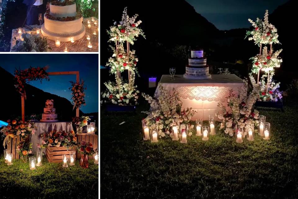 ✨💫✨💫✨💫