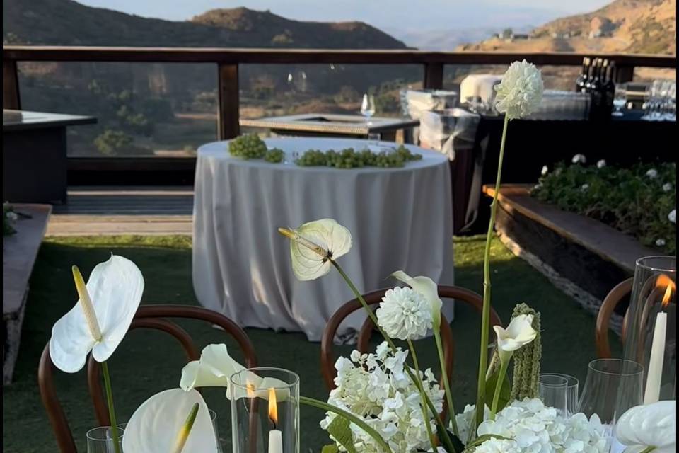 💫✨💫✨💫✨