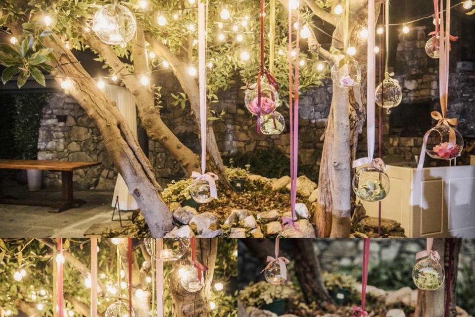 💫✨💫✨💫✨