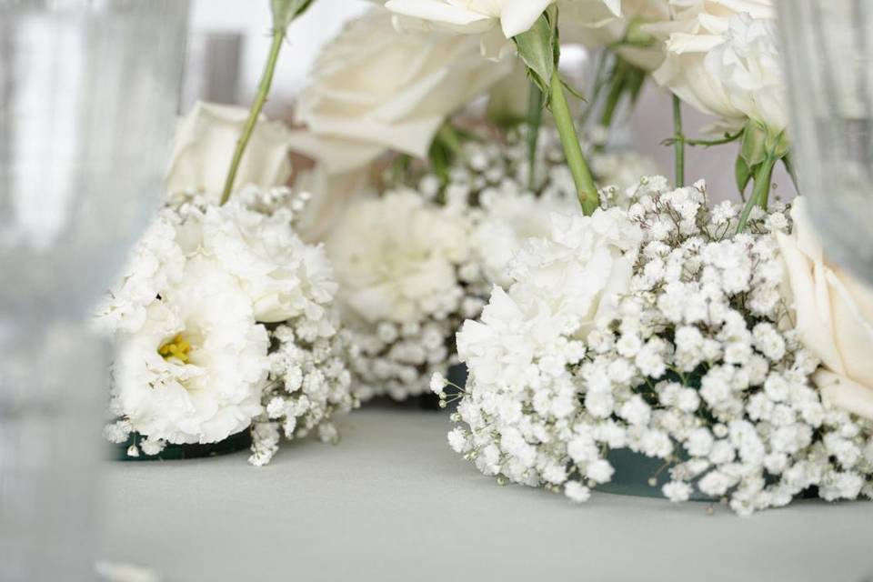 💫✨💫✨💫✨