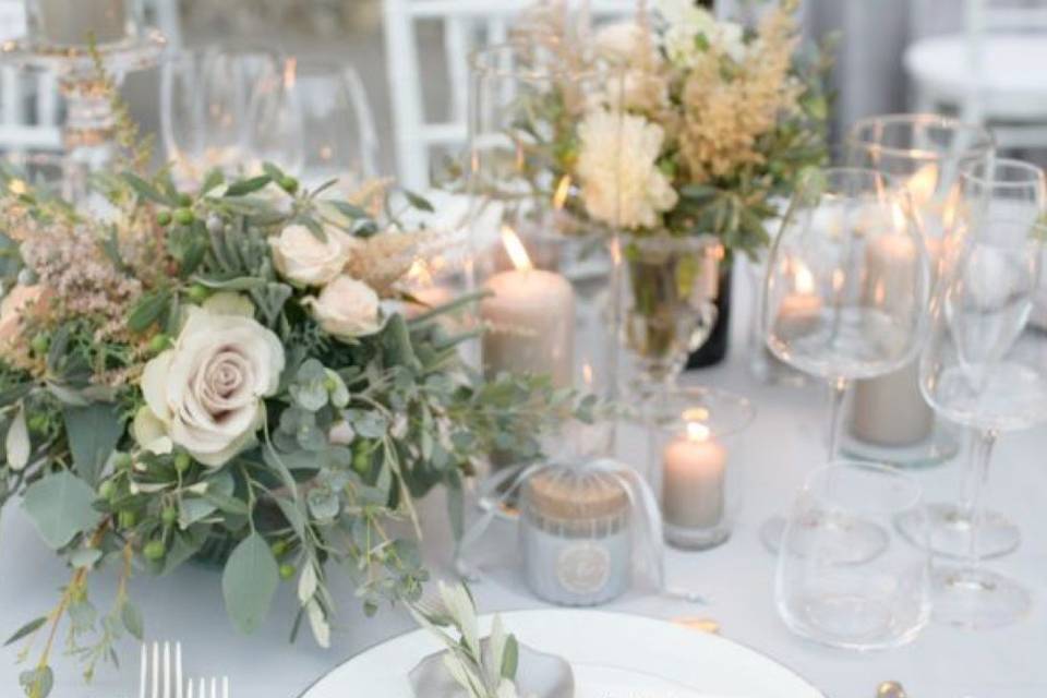 ✨💫✨💫✨💫