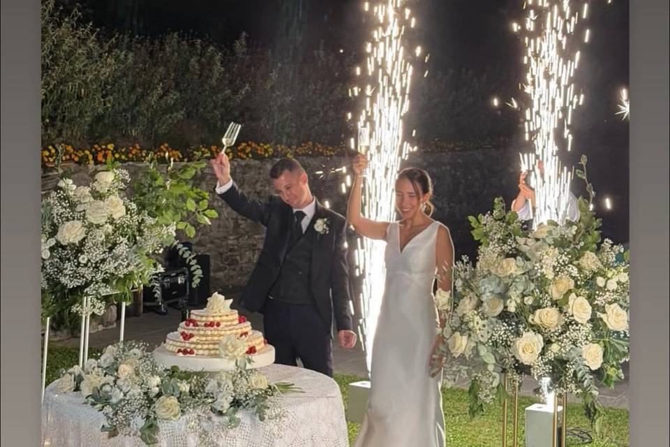 ✨💫✨💫✨💫