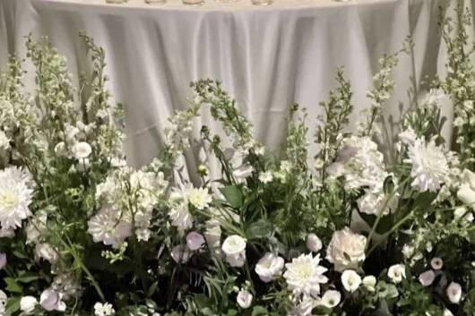 ✨💫✨💫✨💫