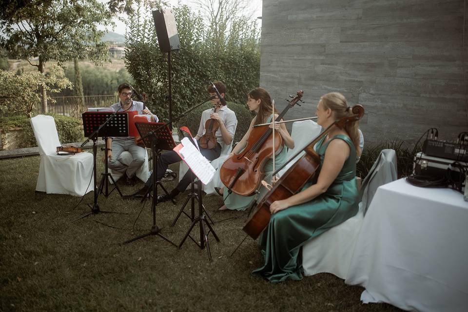 Quartetto d'archi cerimonia