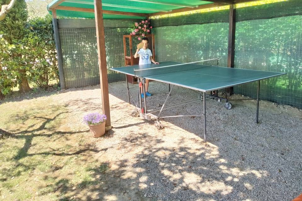 Ping pong