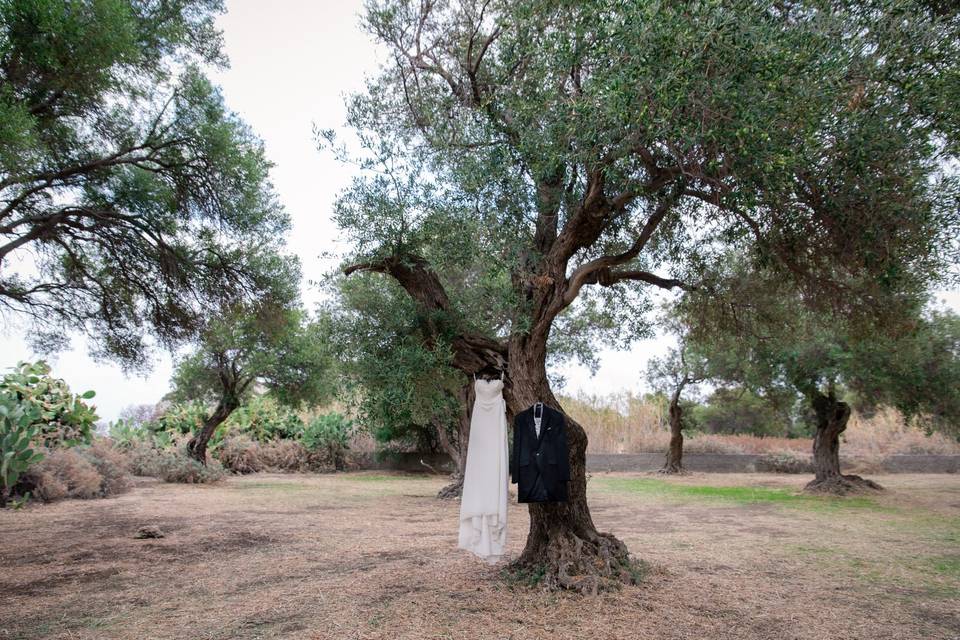 Trash the dress